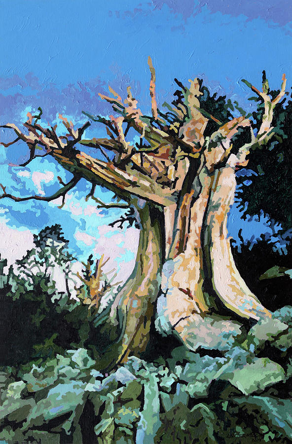 Pine Tree Painting - Old Pine Tree by John Lautermilch Pine Tree Painting - Old Pine Tree by John Lautermilch