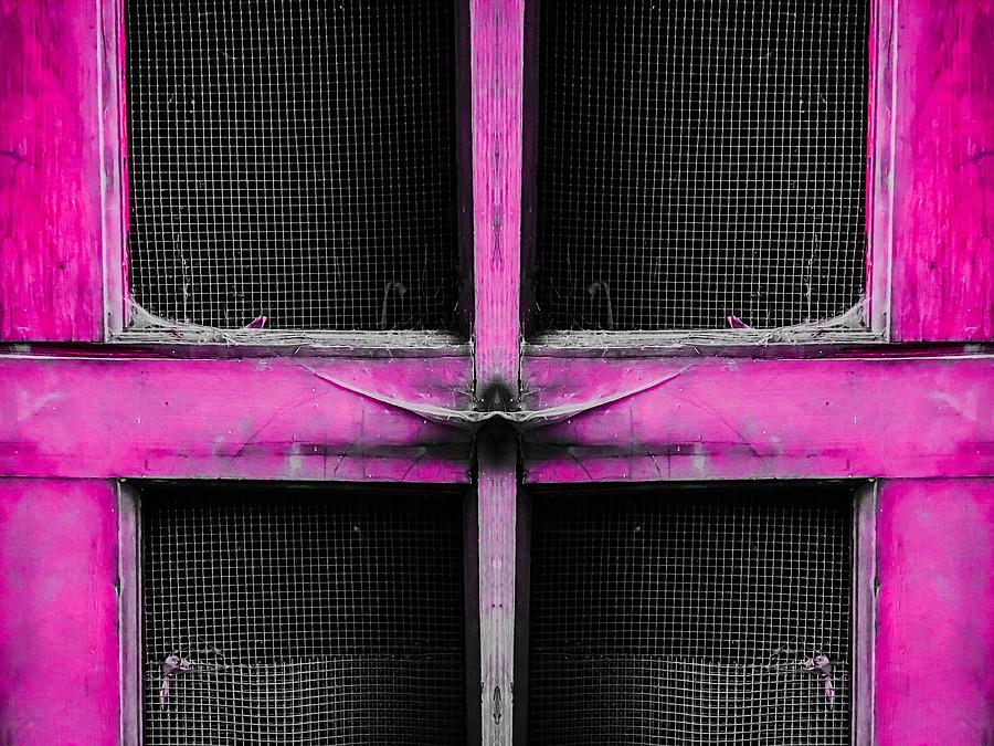 Old Pink Wooden Door Abstract Background Photograph by Tim LA - Fine