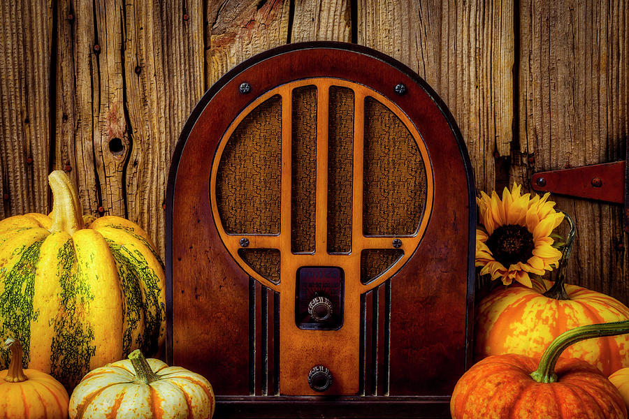 Old Radio And Pumkins Photograph by Garry Gay
