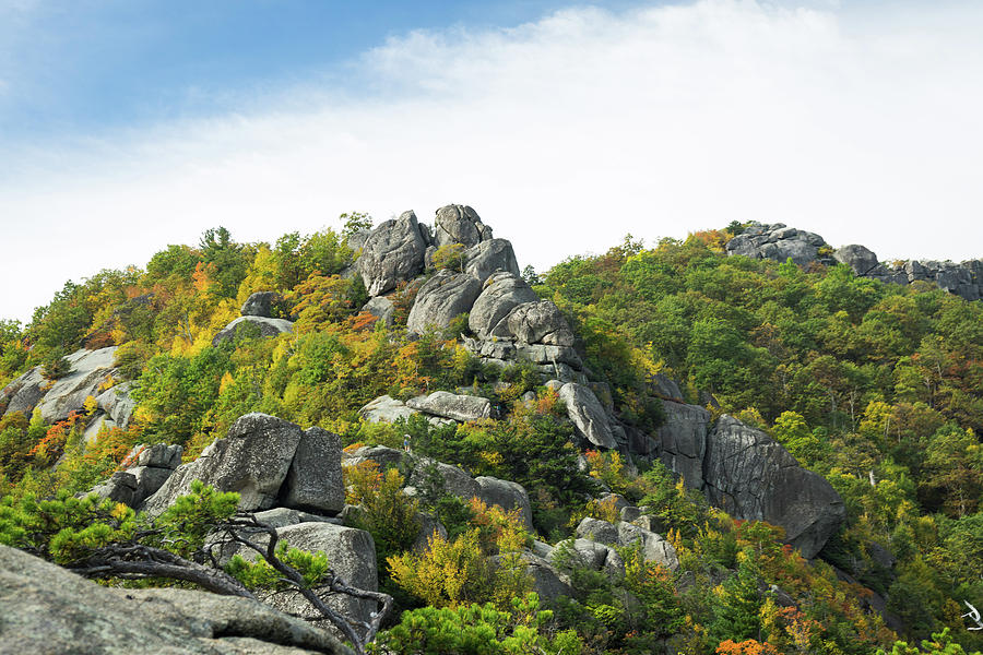 Old Rag at Fall Photograph by Nandor Nagy | Fine Art America