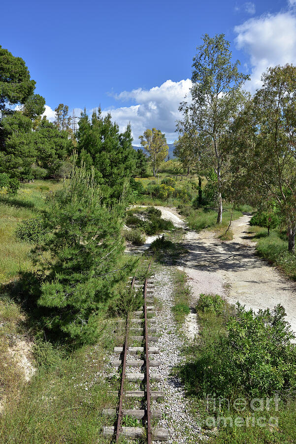 Old railway lines during spring time by George Atsametakis Old railway lines during spring time by George Atsametakis