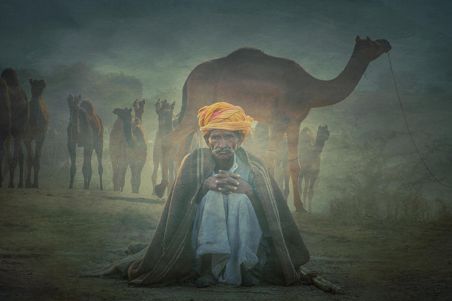 Pushkar Photograph - Old Rajasthani Man Iaap by Svetlin Yosifov