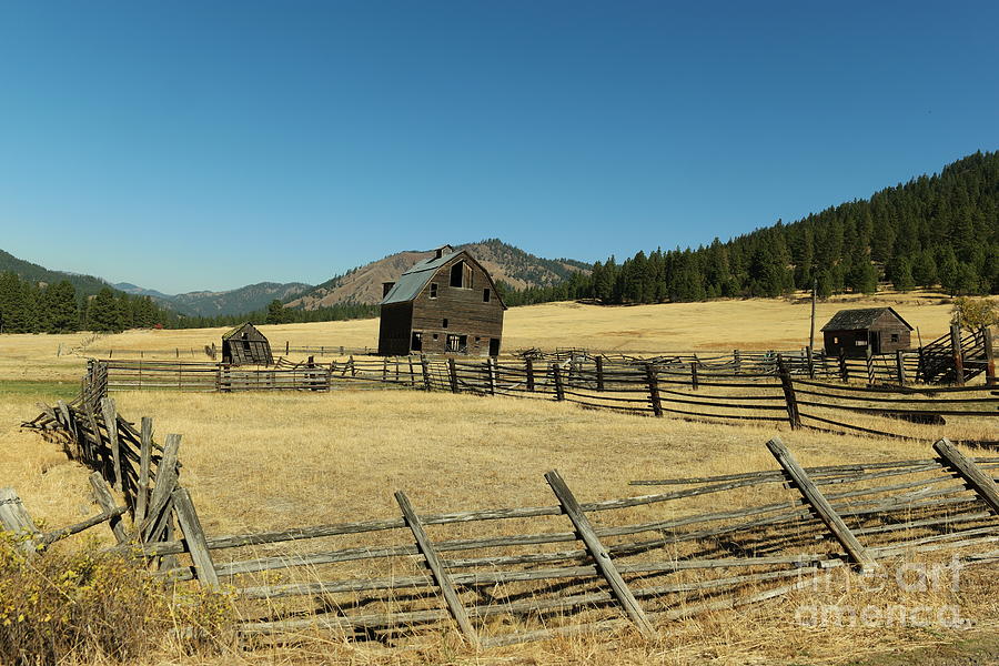 Old ranch near Blewit pass Photograph by Jeff Swan