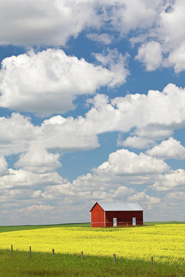 Old Red Grain Bin On The Great Plains Photograph by Imaginegolf