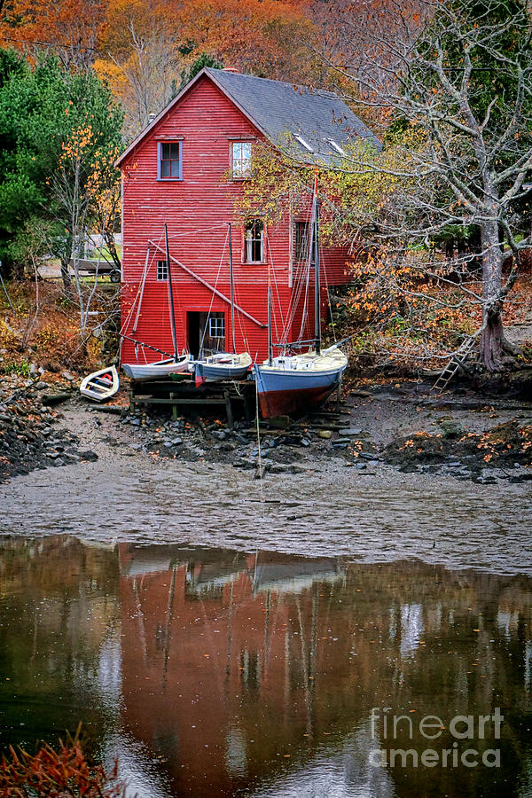 Old Red House in Maine Photograph by Olivier Le Queinec