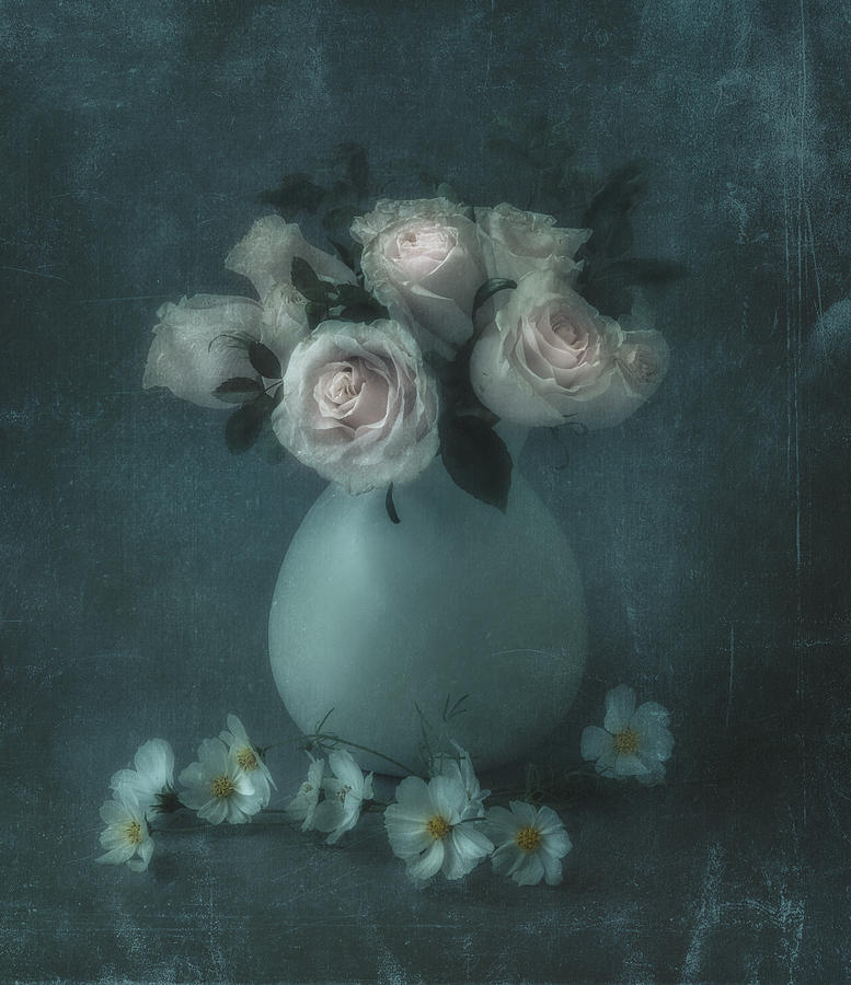 Flower Photograph - Old Roses by Judy Tseng