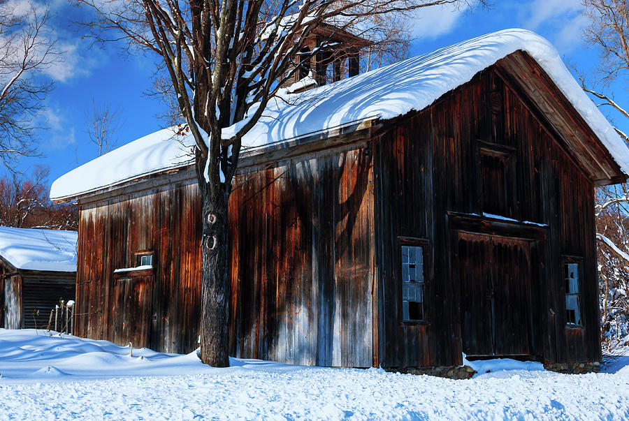 Barn Photograph - Old Rustic Snow Covered Barn by Anthony Paladino