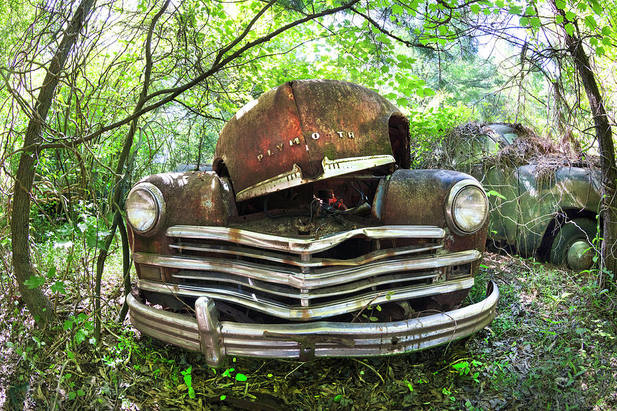 Old Rusty 1949 Plymouth Photograph by Debra and Dave Vanderlaan
