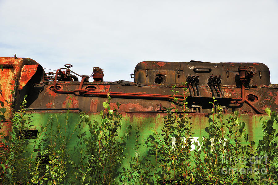 Nature Photograph - Old rusty train by Jan Brons