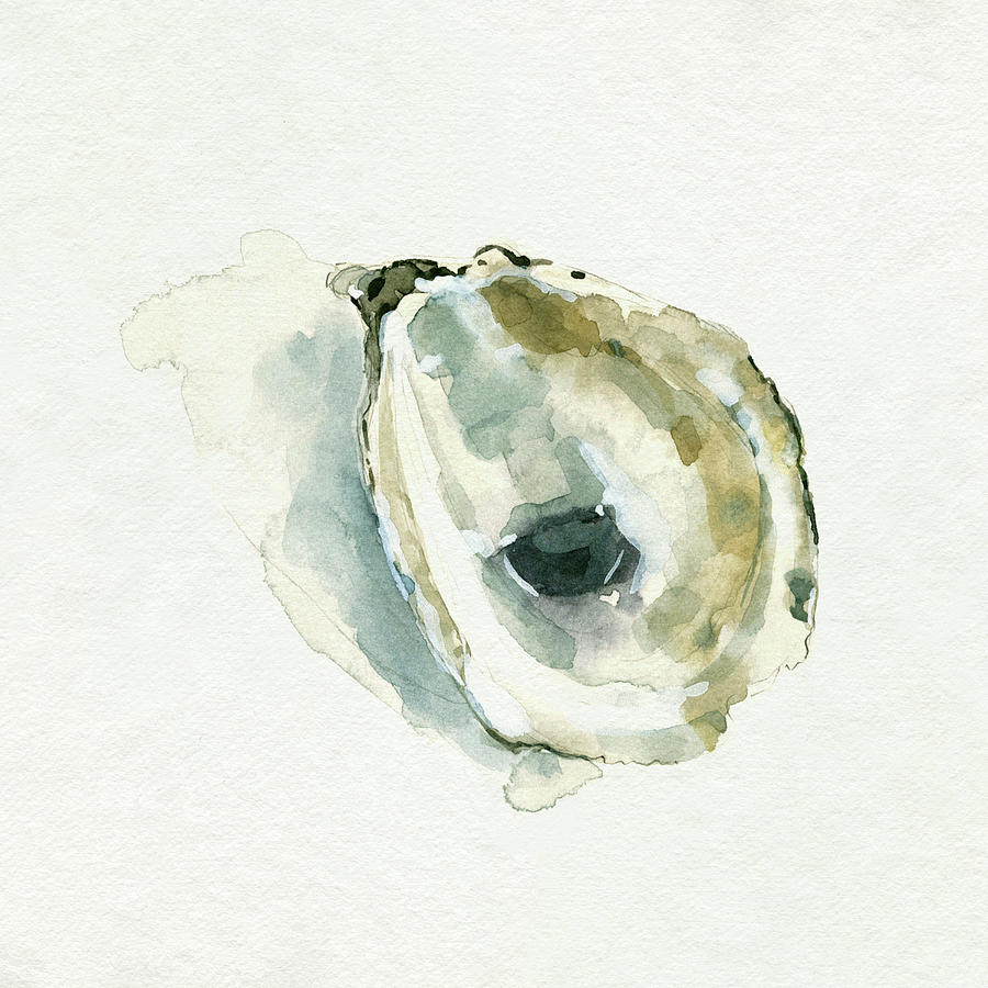 Shell Painting - Old Salt Shell I by Emma Caroline