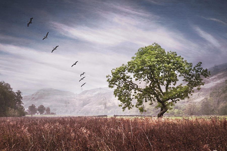 Old Scottish Farmlands Softly Textured Photograph by Debra and Dave Vanderlaan