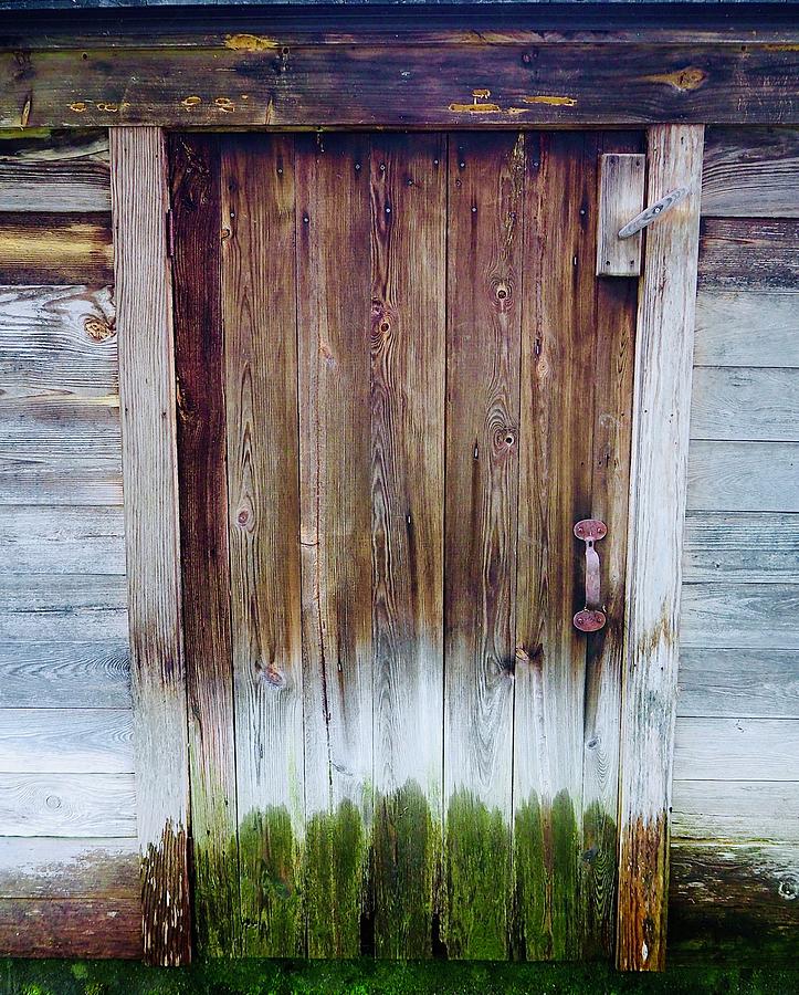 Old Shack Door Photograph by Alida M Haslett