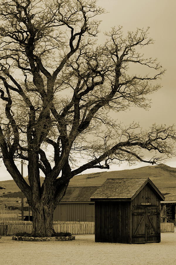 Old Shanty in Sepia Photograph by Colleen Cornelius