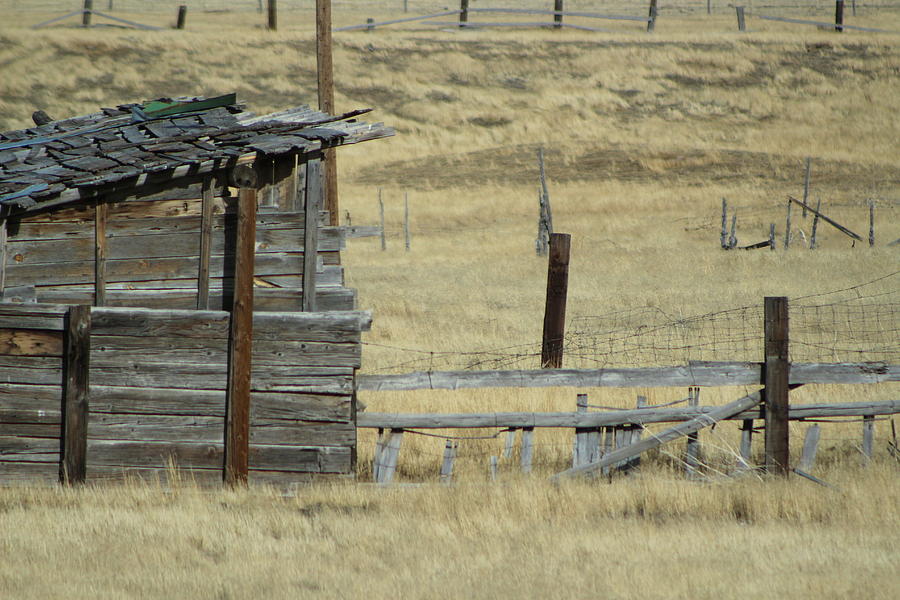 Shanty Photograph - Old Shanty in Utah by Colleen Cornelius