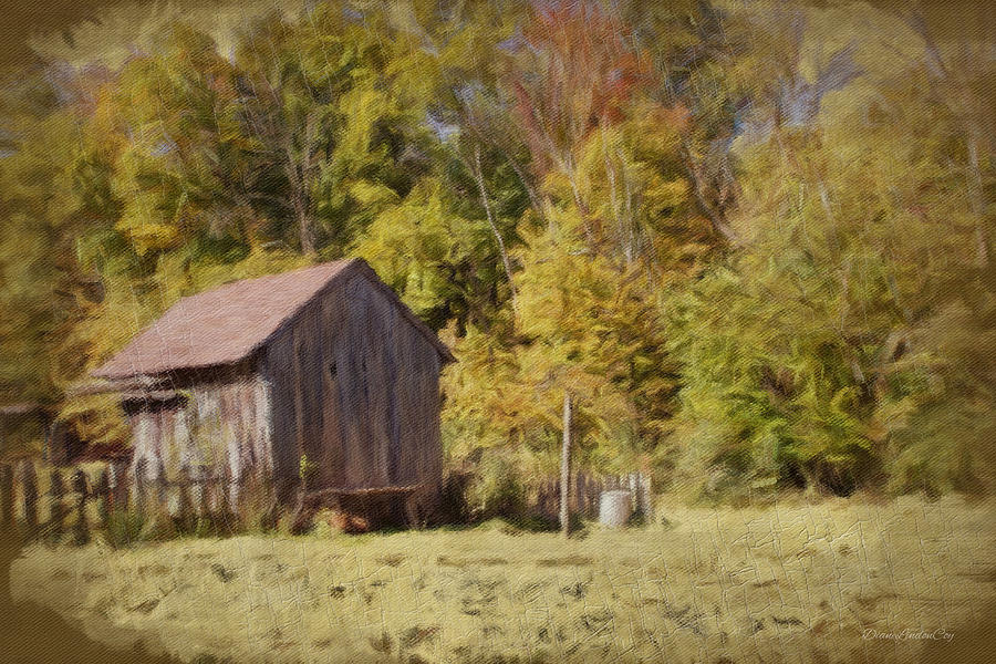 Old She Shed Photograph by Diane Lindon Coy