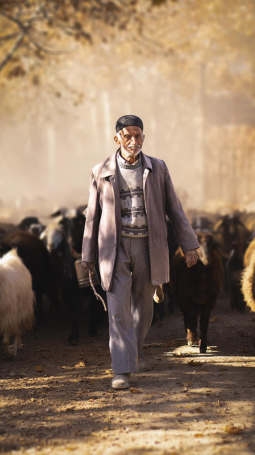 Man Photograph - Old Shepherd by Mohammad Aref Zohrabi
