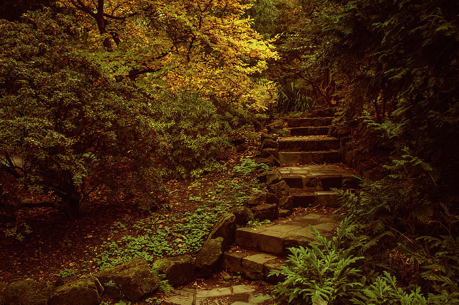 Old Stairs in Secret Garden 1 Photograph by Jenny Rainbow