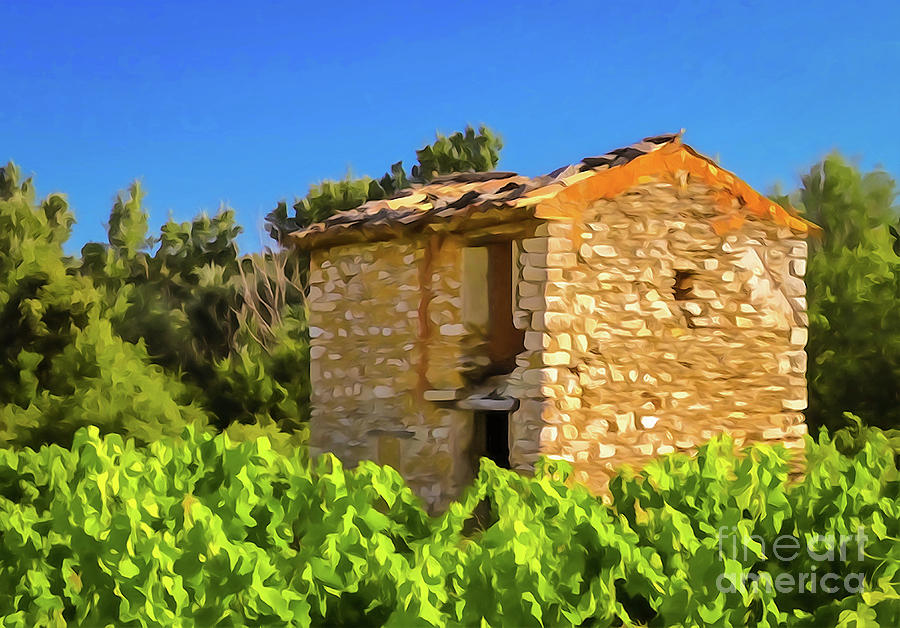 Stone House Photograph - Old Stone House in Vineyard by Bob Lentz