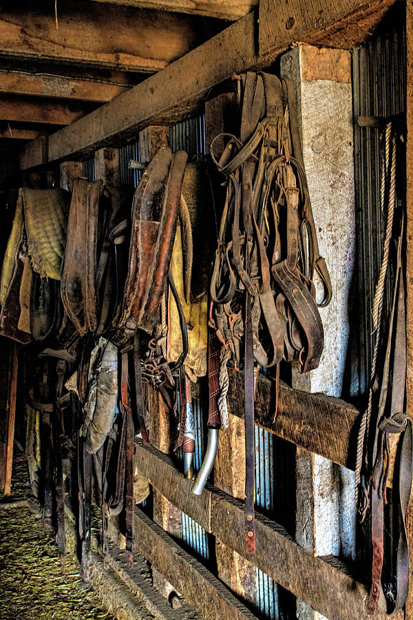 Old Tack Photograph by Alana Thrower