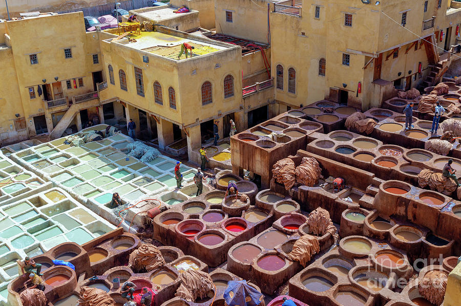 City Photograph -  Old tanneries of Fez, Morocco by Louise Poggianti