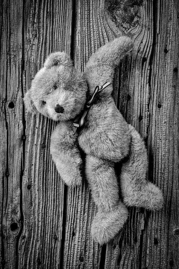 Old Teddy Bear Hanging On The Door In Black And White Photograph by Garry Gay