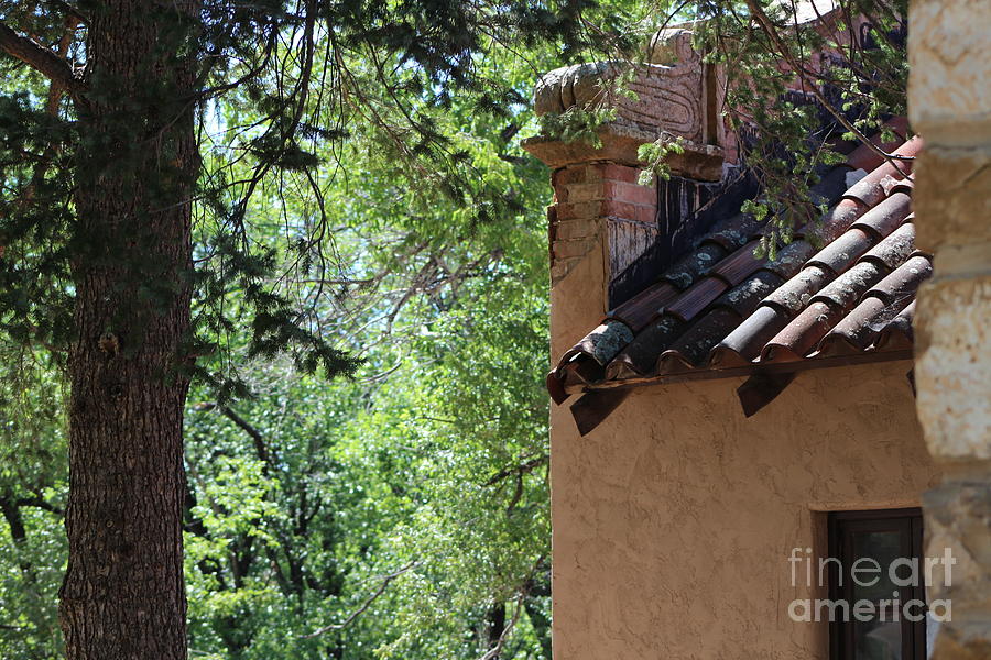 Old Terracotta Roof with Lichen at Fort Stanton New Mexico Photograph by Colleen Cornelius