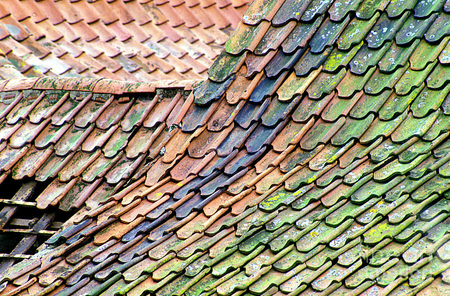 Old Tiled Roof Photograph by Dr Keith Wheeler/science Photo Library