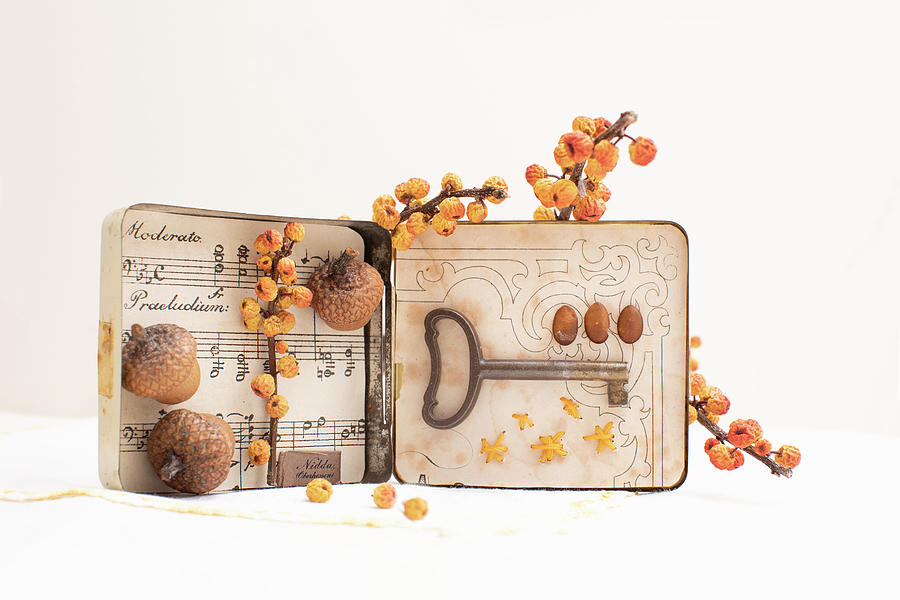 Old Tin Decorated With Sheet Music, Acorns, Berries And Key Photograph by Sabine Lscher