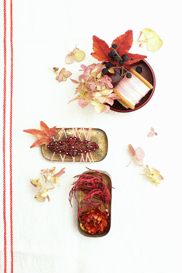 Old Tins And Bakelite Dish Decorated With Flowers, Leaves, Brooch And Reel Of Thread Photograph by Sabine Lscher