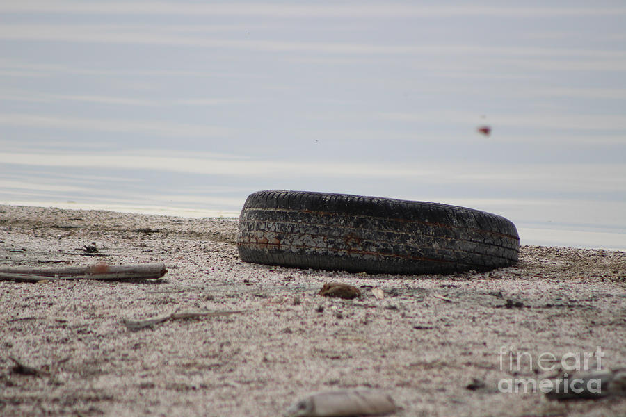 Old Tire on Shore of Salton Sea Photograph by Colleen Cornelius