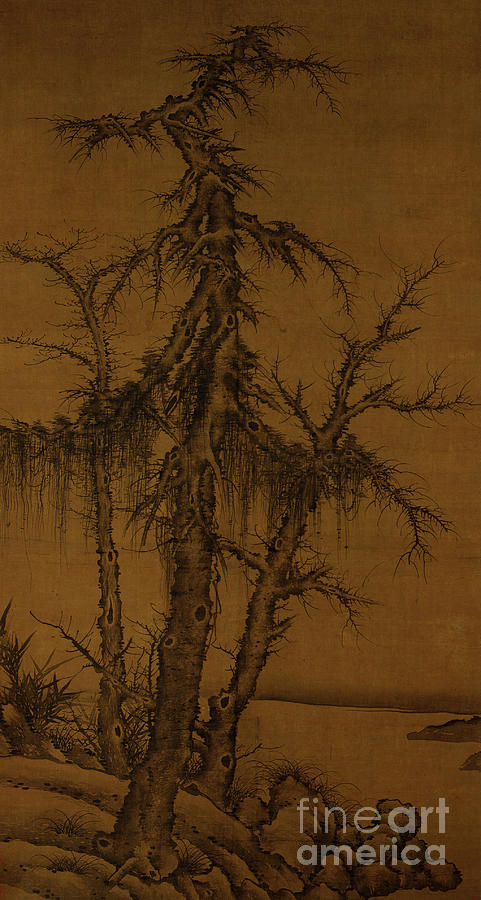 Old Trees, Bamboo, And Rocks, C.1300 Drawing by Li Kan