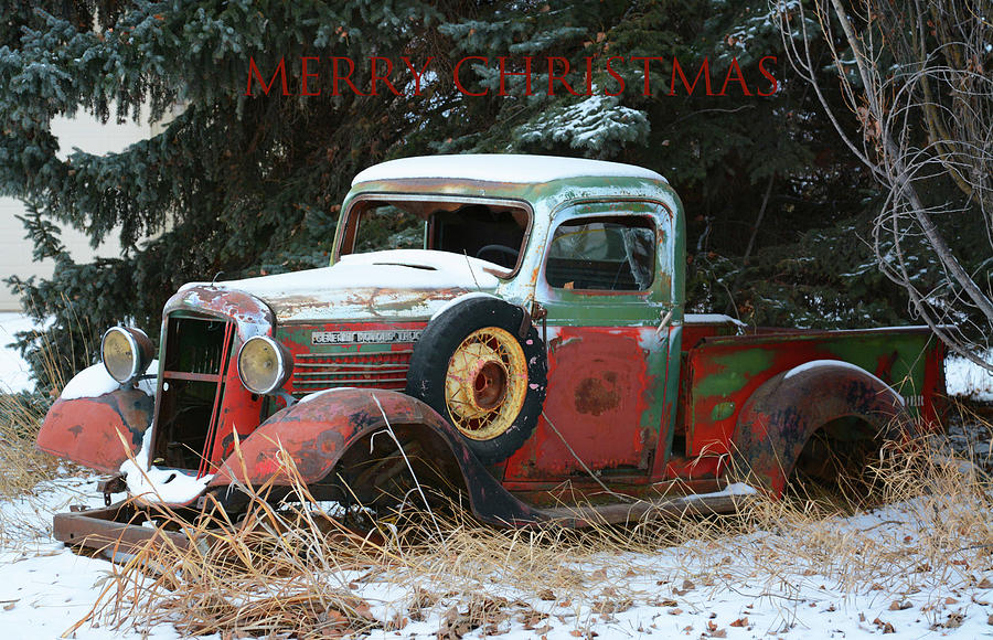Old Trucks And Christmas Photograph