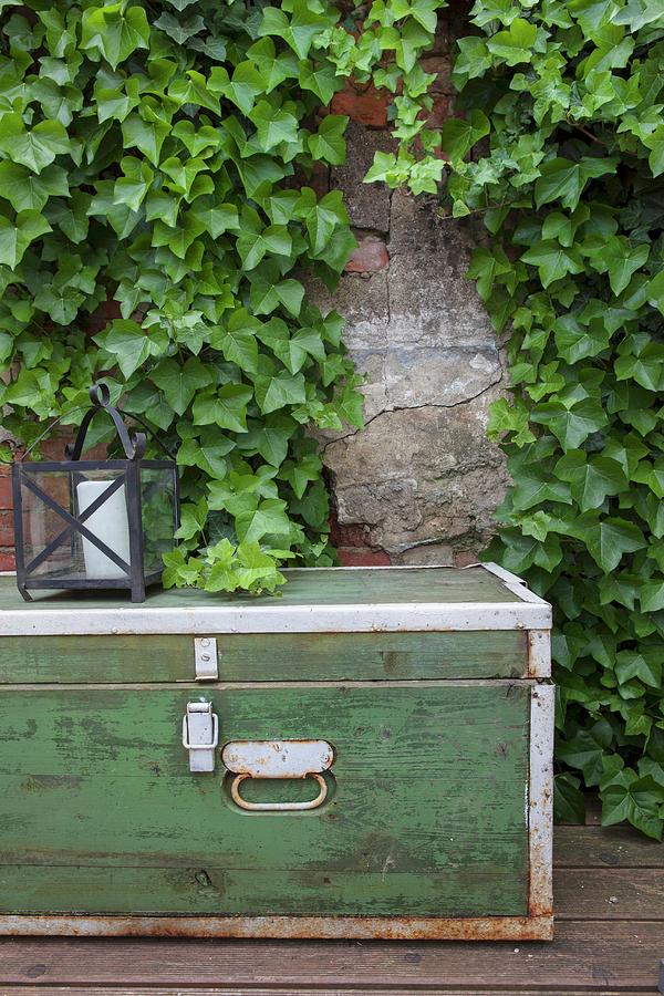 Old Trunk And Lantern In Front Of Ivy-covered Wall Photograph by Anne-catherine Scoffoni