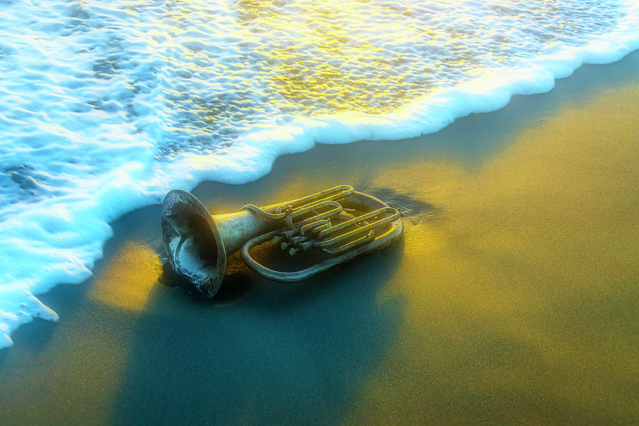 Old Tuba In The Surf Photograph by Garry Gay