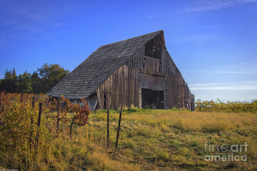 Old Vineyard Barn Photograph by Mitch Shindelbower