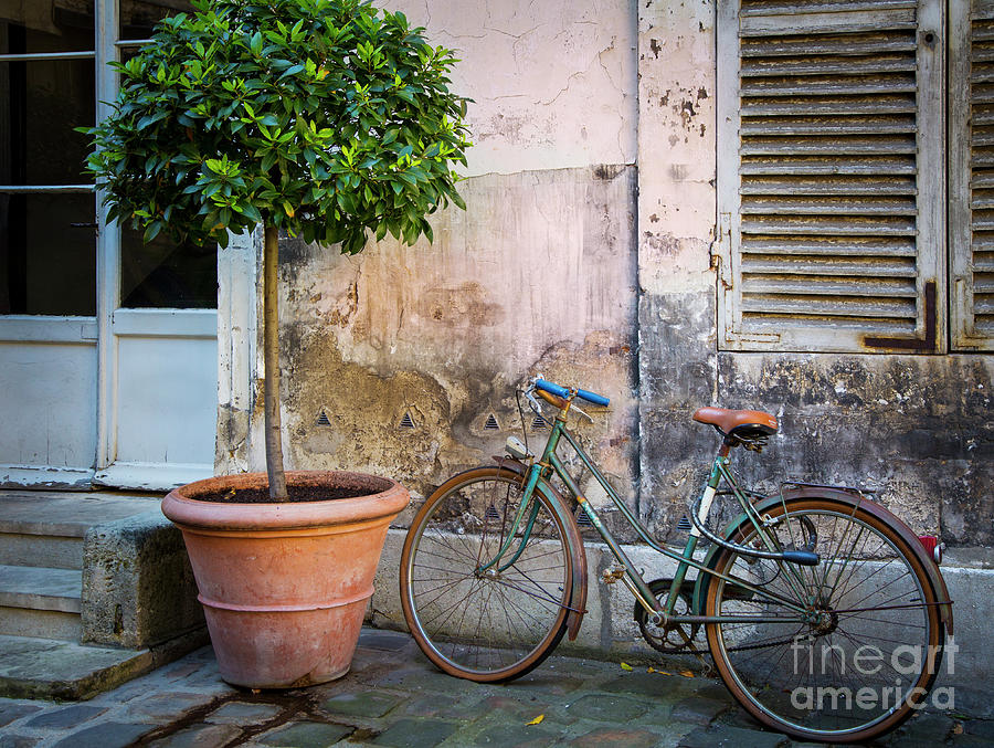 Old Wall And Bicycle Photograph