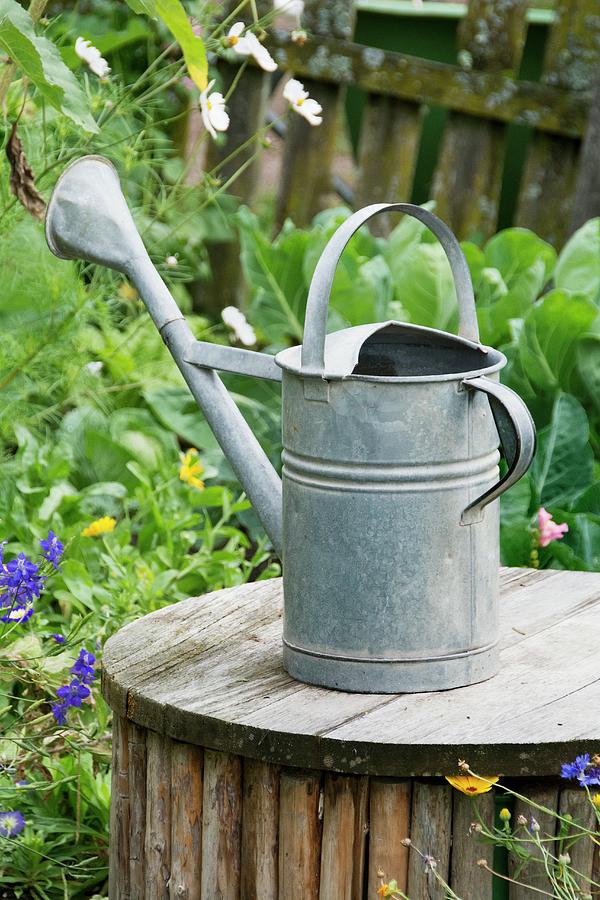 Old Watering Can On Wooden Table In Garden Photograph by Chris Schfer
