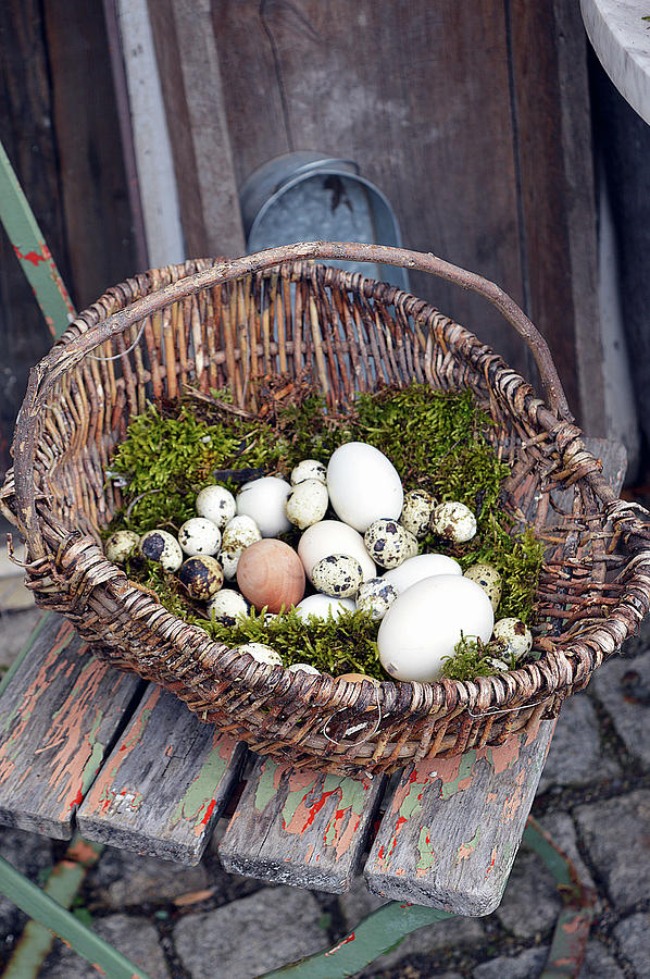 Old Wicker Basket Used As An Easter Nest Photograph by Christin By Hof 9