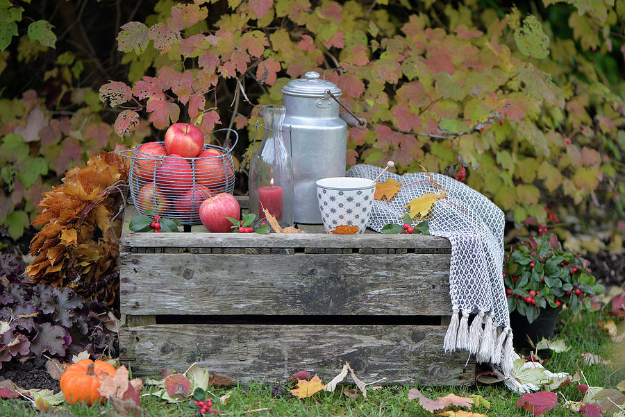 Old Wine Crate Decorated For Autumn With Apples, Pumpkin, Milk Churn And Cup Of Tea Photograph by Daniela Behr