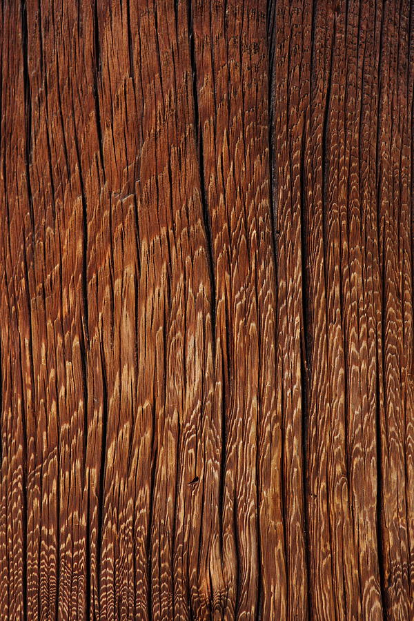 Old Wood Pillar,close Up Photograph by Sot