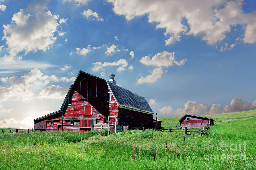 Old Wooden Barn On The Grasslands Photograph