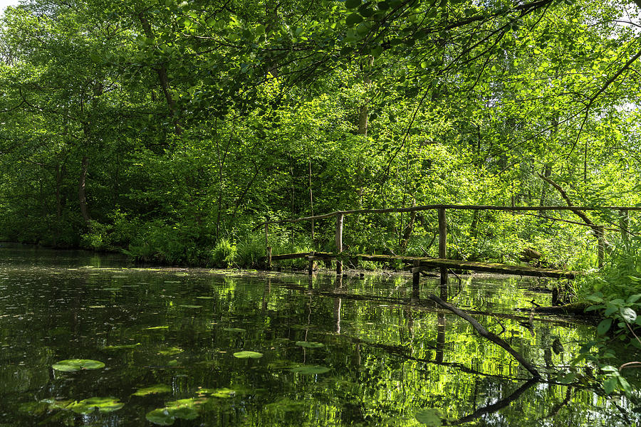 Old Wooden Bridge At The Water Hiking Through The Wild Unesco Biosphere Reserve Spreewald In Brandenburg Photograph by Martin Siering Photography