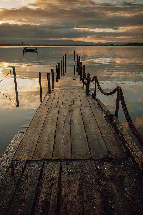 Summer Photograph - Old Wooden Port Submerged In The Ria De Aveiro by Cavan Images