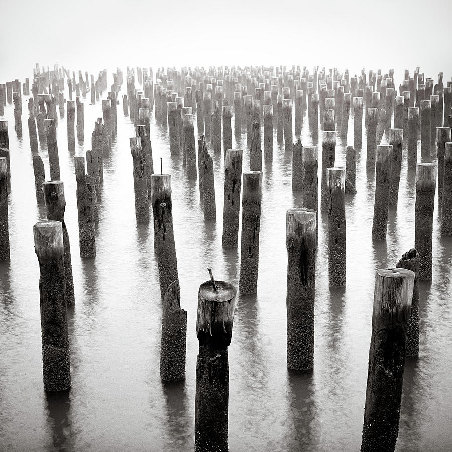 Old Wooden Posts In Hudson River Photograph by Eddie Obryan