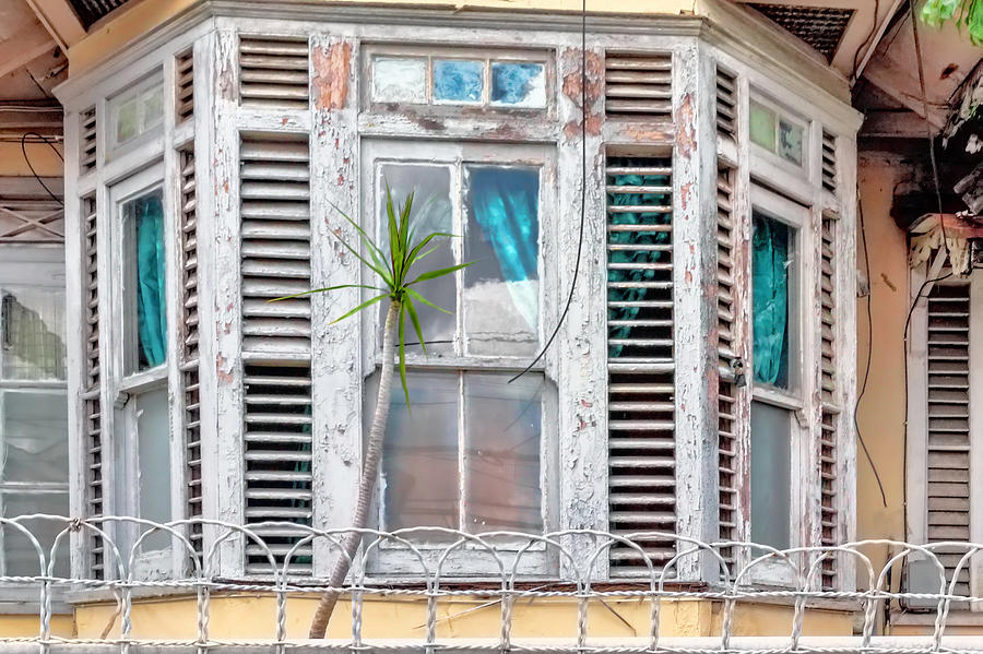 Old Wooden Windows Photograph by Nadia Sanowar