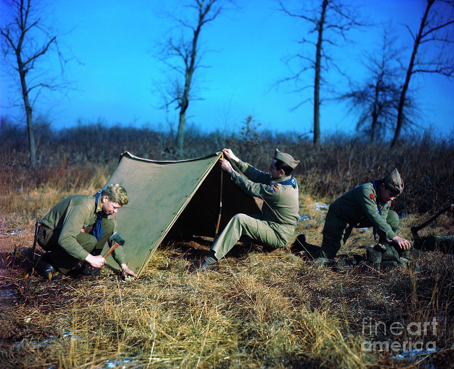 Older Scouts Putting Up Tent Photograph by Bettmann