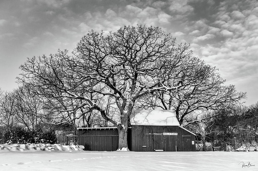 Oldest Tree Protects Holz Farm Signed Photograph by Karen Biwersi