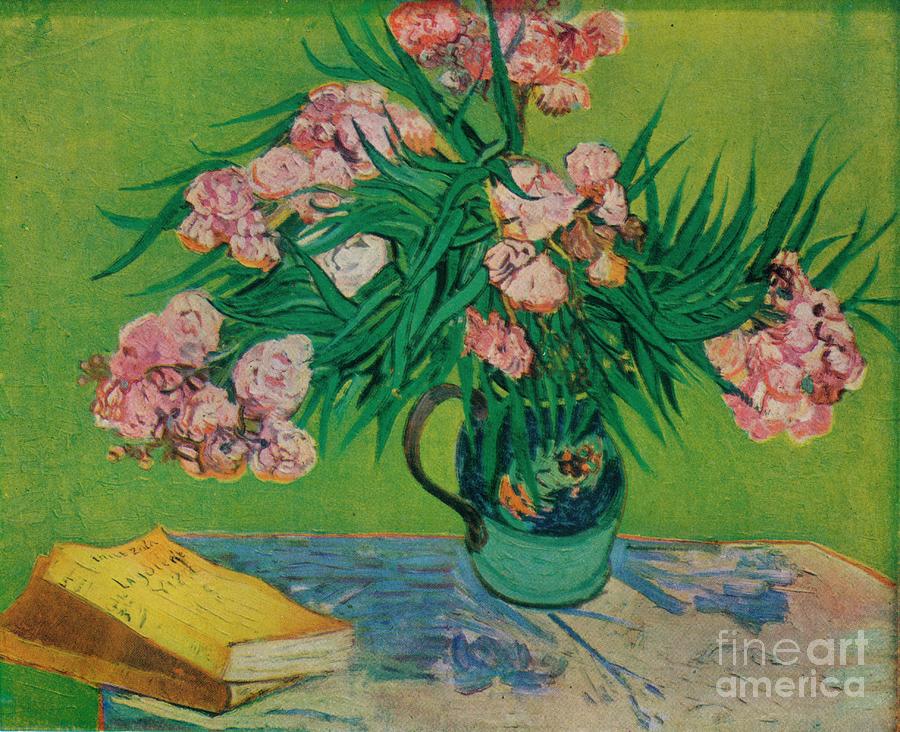 Oleanders Drawing by Print Collector