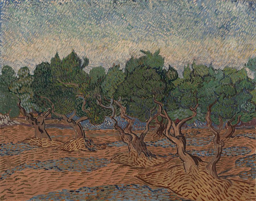 Olive Grove. Painting by Vincent van Gogh -1853-1890-