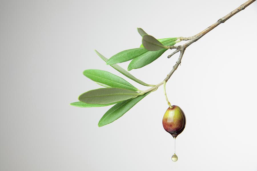 Olive Oil Dripping From An Olive Photograph by Riccardobruni